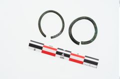 Foto von Bronzering (NHMW-PRAE-025571)